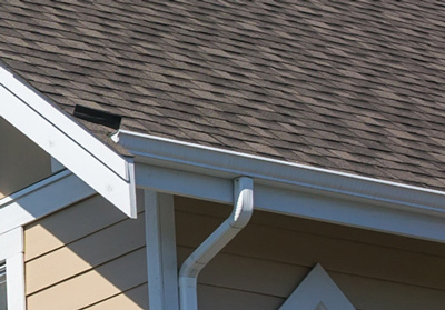 Gutter drain on side of house