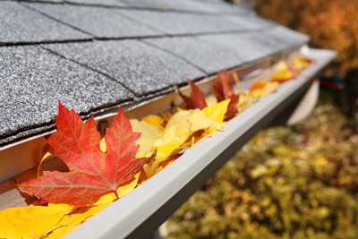 leaves in a gutter